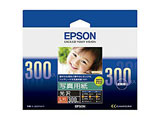 yz KL300PSKR@ʐ^p  iLE300j
