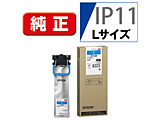v^[CN LTCY VA IP11CB