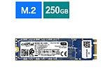 CT250MX500SSD4/JP (SSD/M.2 2280/250GB) 【sof001】