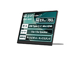 USB-CڑoCj^[ LG gram +view `^Vo[ 17MT70 m17^ /WQXGA(2560×1600j /Chn