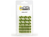 CITADEL COLOUR TUFTS: VERDIA VELDT �V�^�f���^�[�t�F���F���f�B�A�E���F���g �V�^�f���J���[ �y852�z