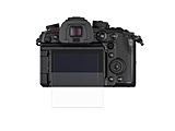 Panasonic LUMIX GH6 pیtB 3461