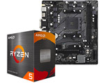 AMD Ryzen 5 5600X + A520M-HDV