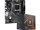 AMD Ryzen9 7900 + A620M-HDV/M.2