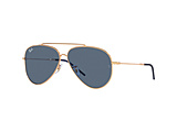 AVIATOR REVERSE RBR0101S 92023A 59mm  |bV[YS[h/u[