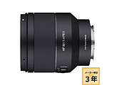 �J���������Y AF 50mm F1.4 FE II    �m�P�œ_�����Y�n