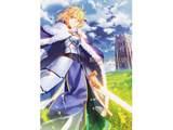 Return to AVALON -武内崇Fate ART WORKS- 【書籍】