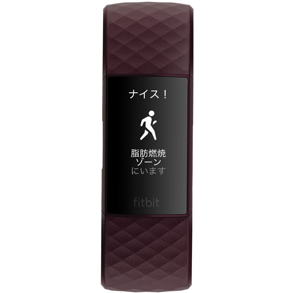 FB417BYBY-FRCJK Fitbit Charge4 GPS搭載 フィットネストラッカー ローズウッド L/S サイズ