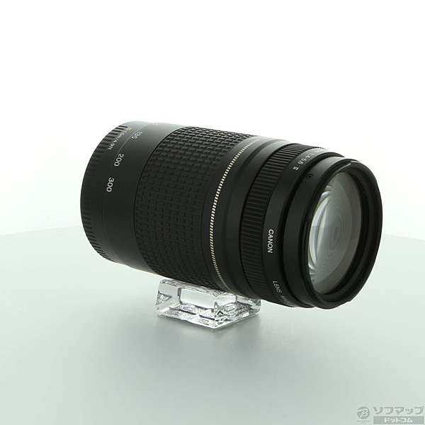 Canon EF 75-300mm 1:4-5.6 Ⅱ #L02