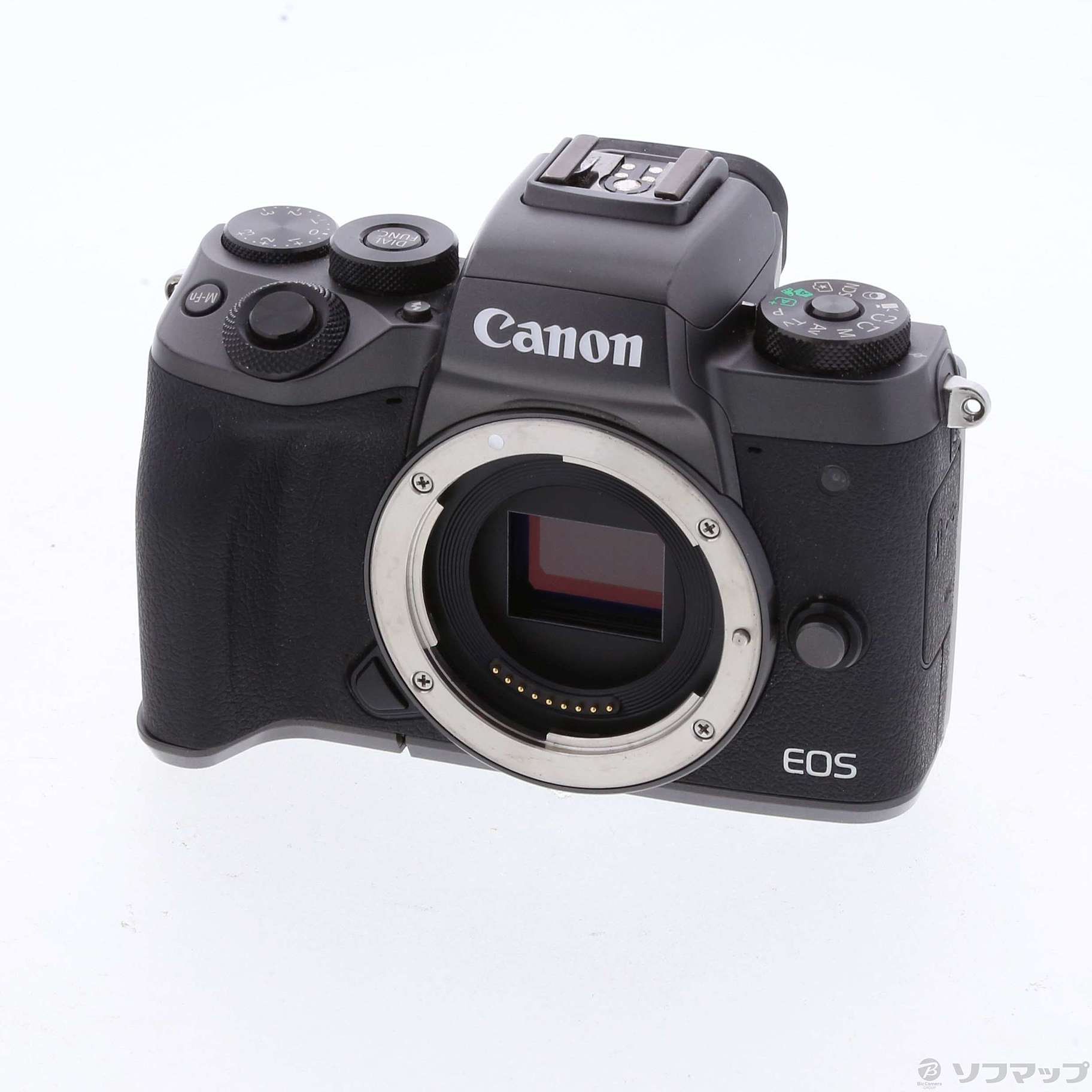 少し豊富な贈り物 ボディ M5 EOS Canon - デジタルカメラ