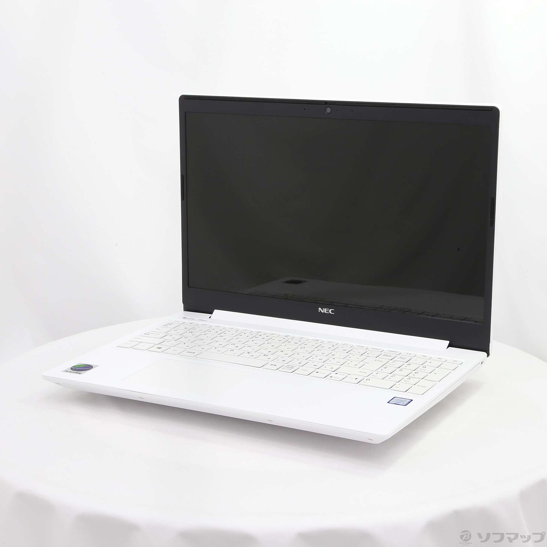 NEC LAVIE Direct NS PC-GN164RGAH ノートパソコン