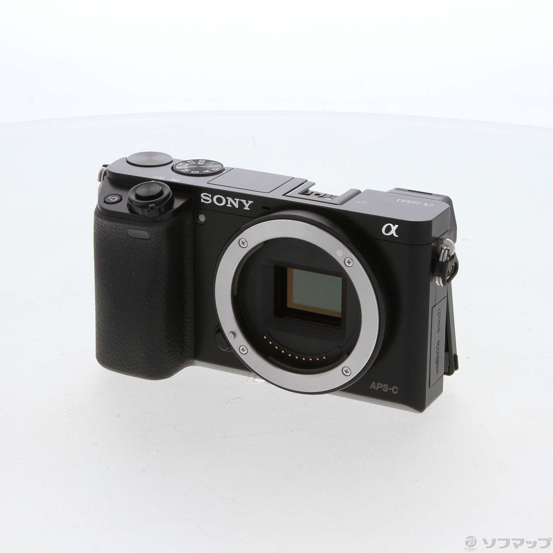 売り切れ必至！ 【Daisuke様専用】sony α6000ボディー 付属品全てあり