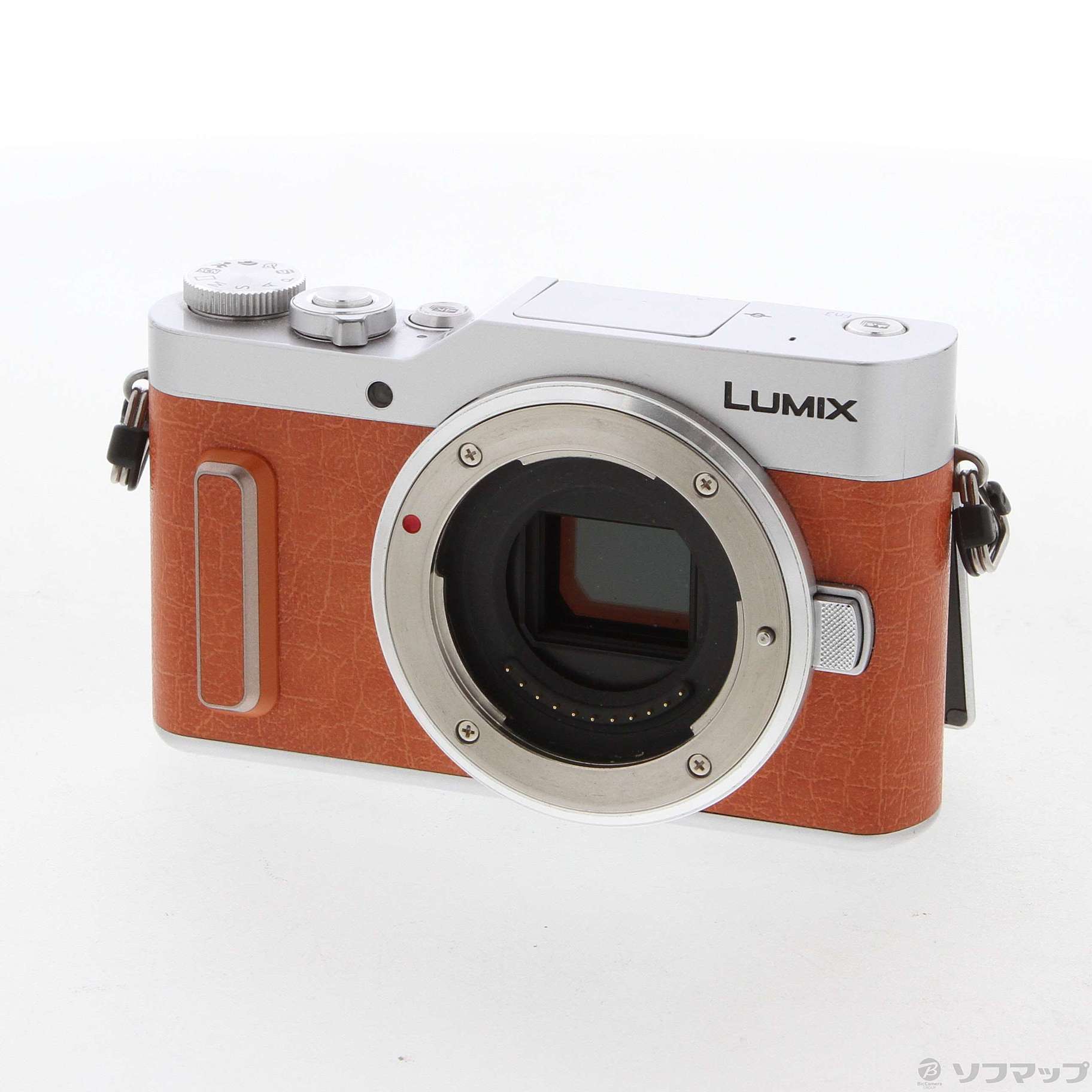 Panasonic mirrorless single-lens Lumix GF10 double lens kit