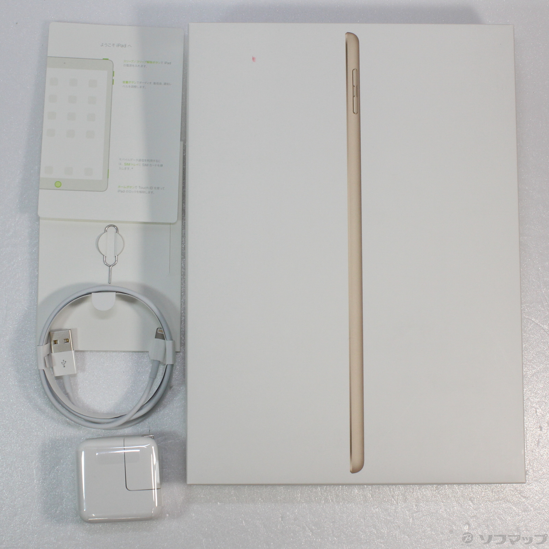 Apple iPad mini 4 32GB ゴールド MNWG2J/A docomoロック解除SIMフリー