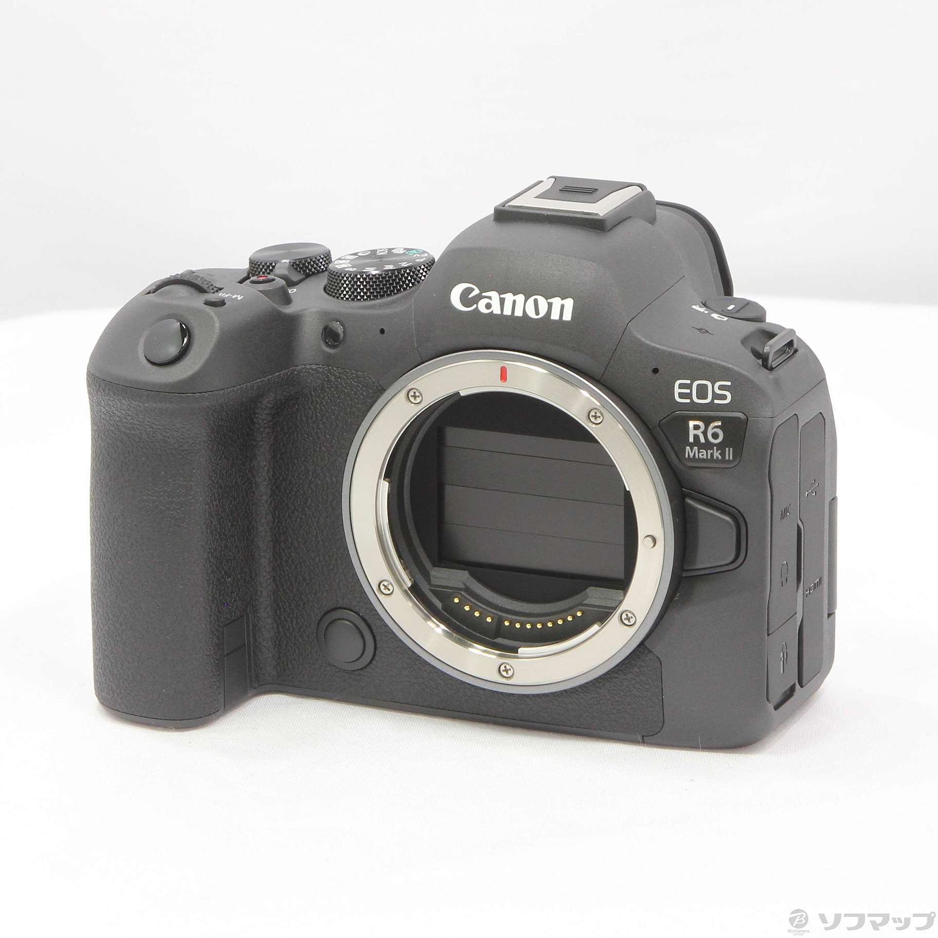 Canon EOS R6 ボディ+付属品 - デジタルカメラ