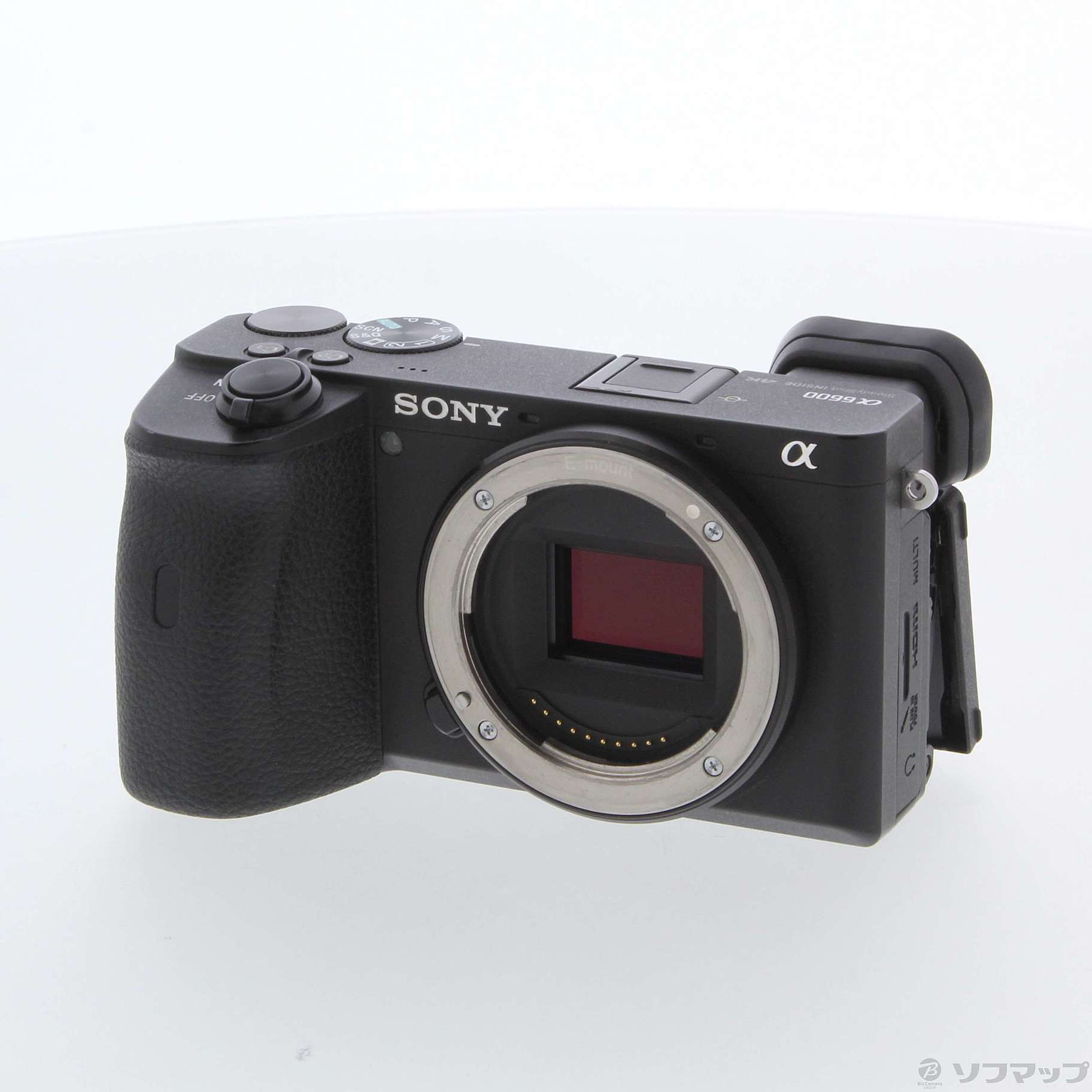 SONY α6600 ILCE-6600 ボディ - カメラ