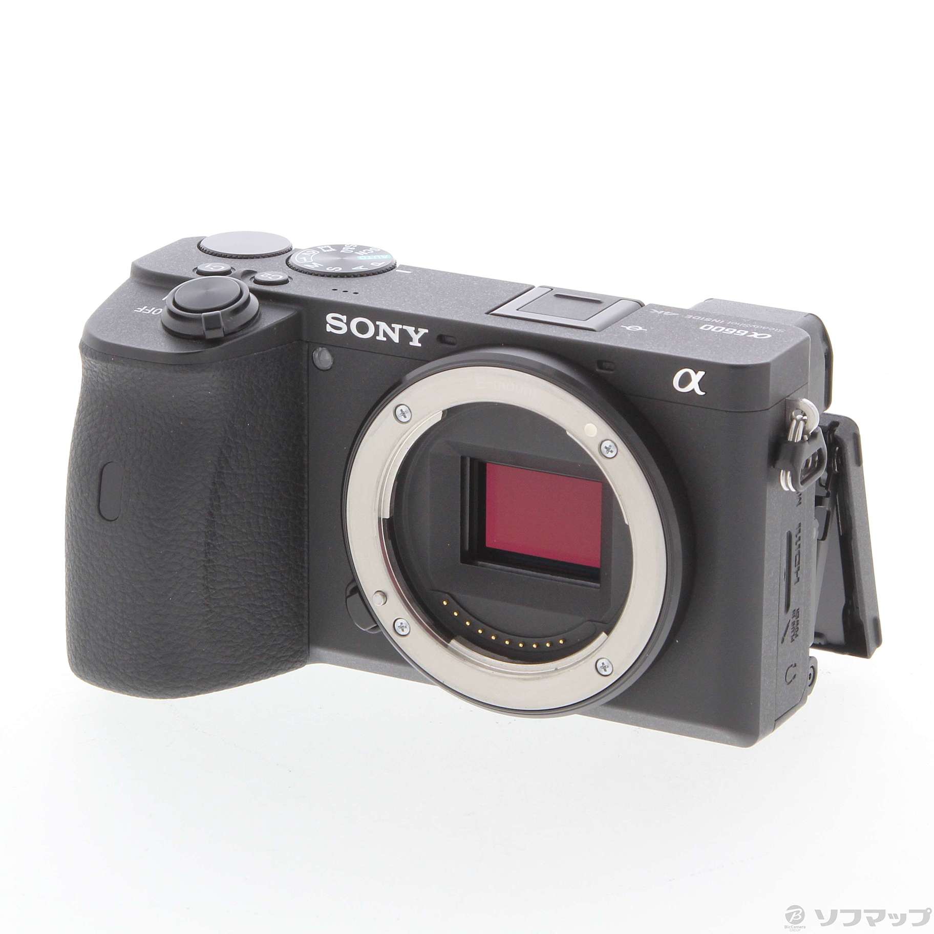 中古】α6600 ILCE-6600 ボディ [2133050859286] - リコレ