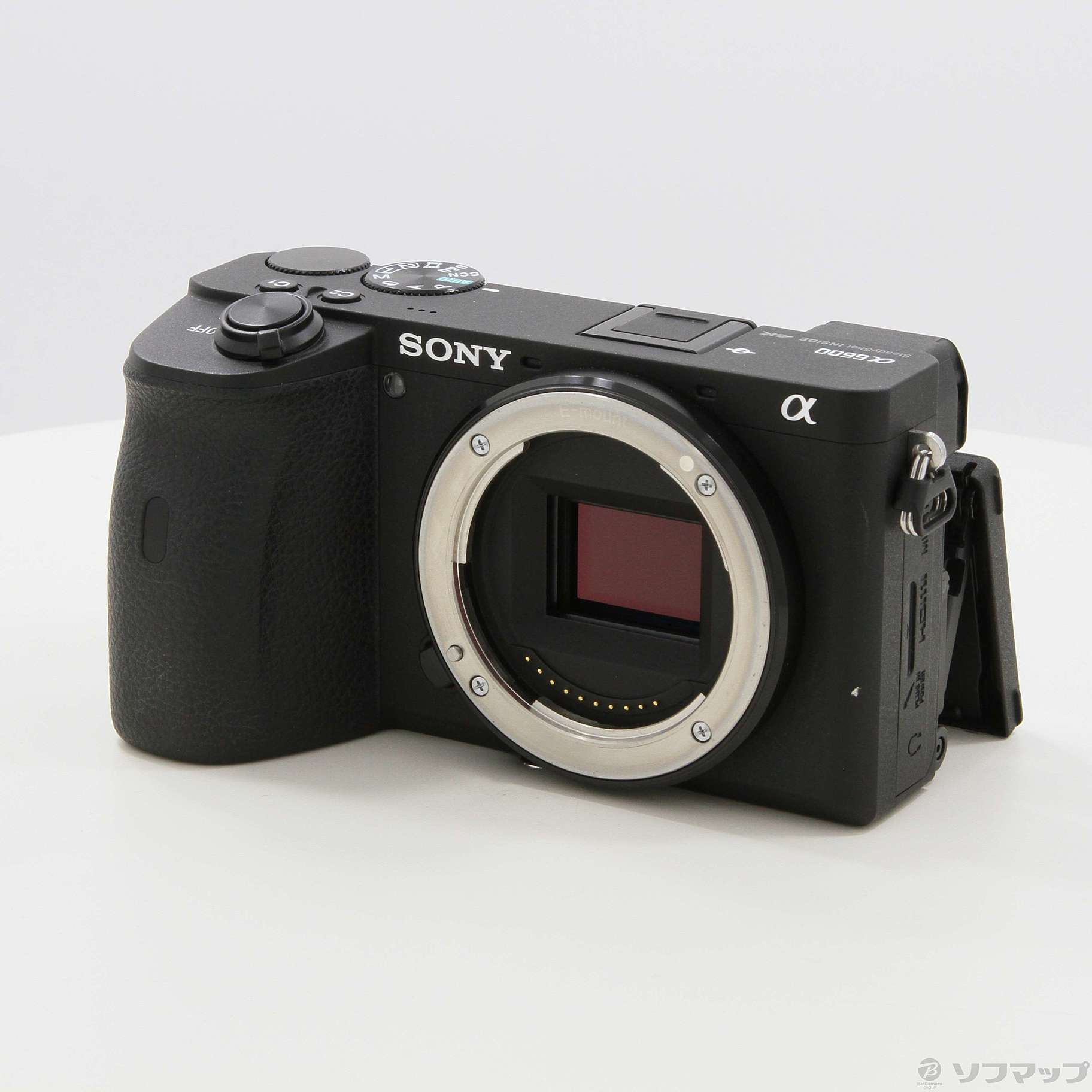 デジタルカメラ α6600（リグ付き、ボディーのみ） - カメラ