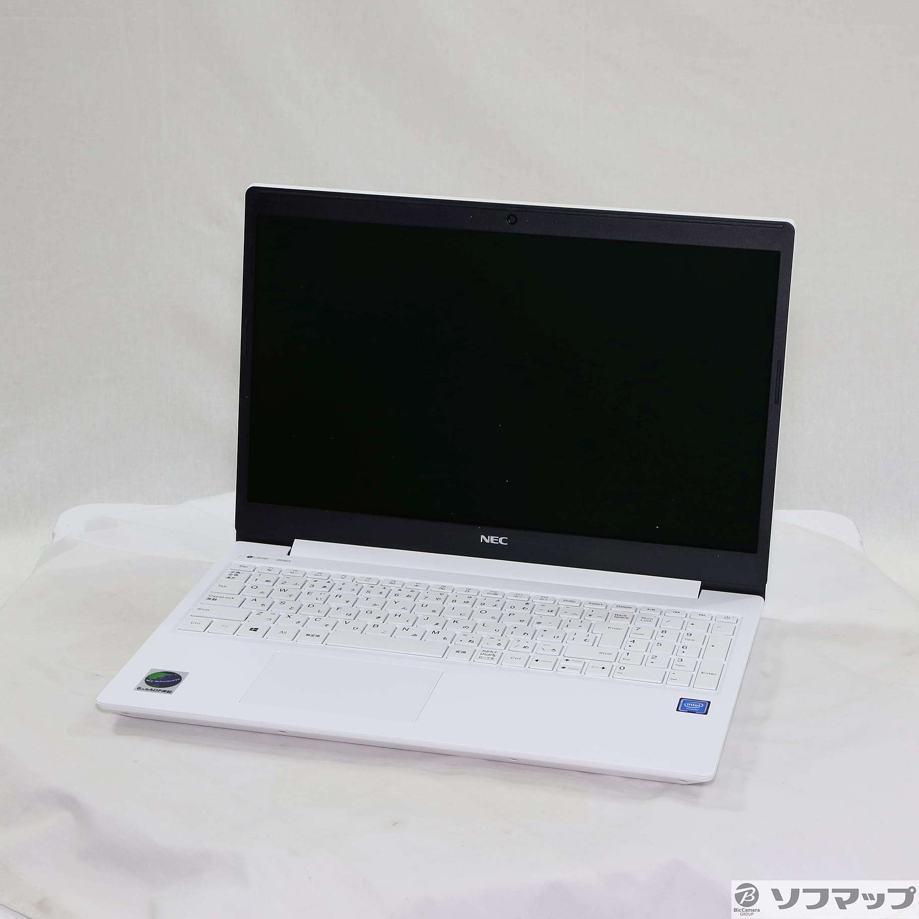 LAVIE Direct NS PC-GN18CJTAF 〔NEC Refreshed PC〕 〔Windows 10〕 ≪メーカー保証あり≫  ［Celeron 4205U (1.8GHz)／4GB／HDD500GB／15.6インチワイド］