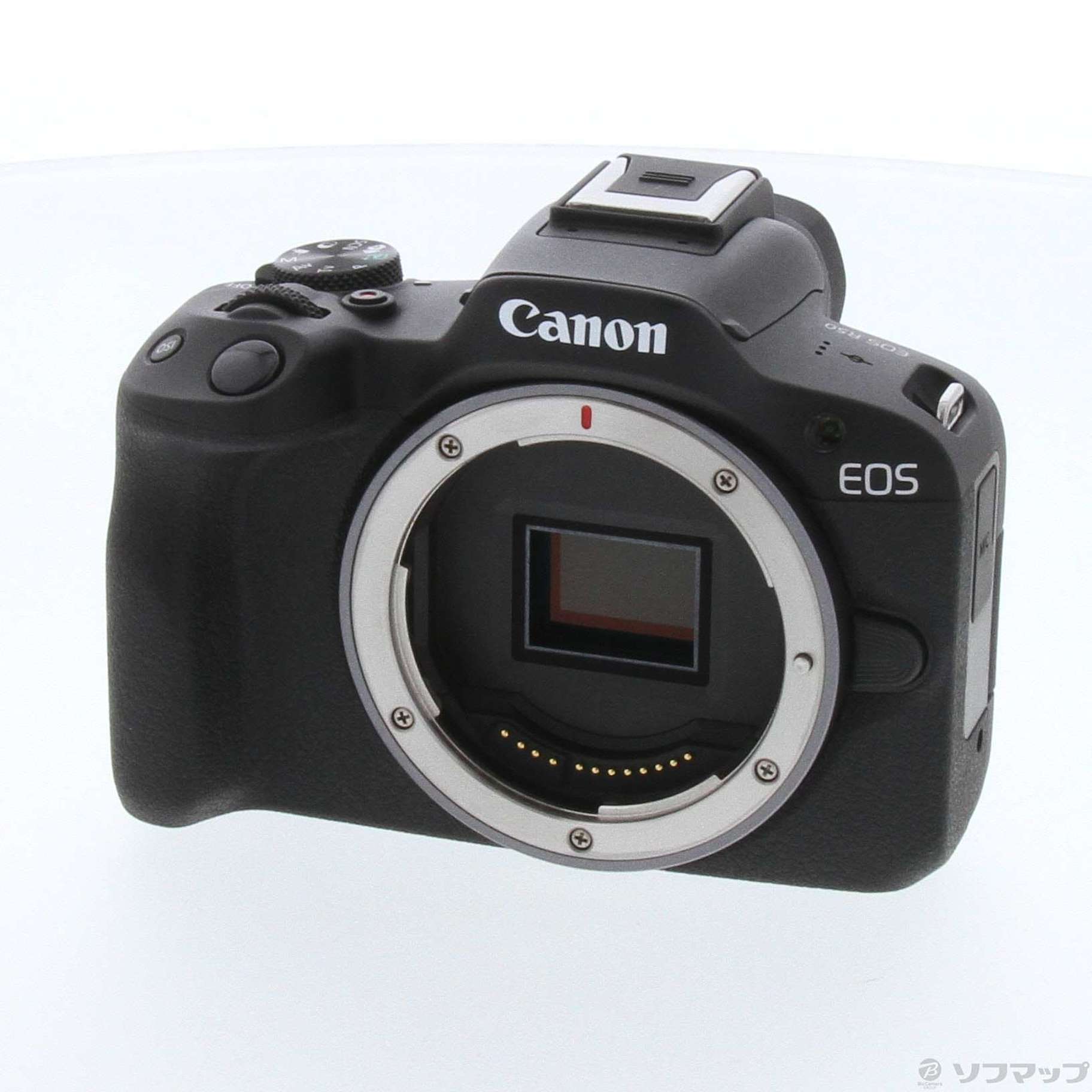 Canon EOS R50 ボディ 黒ストラップ - デジタルカメラ