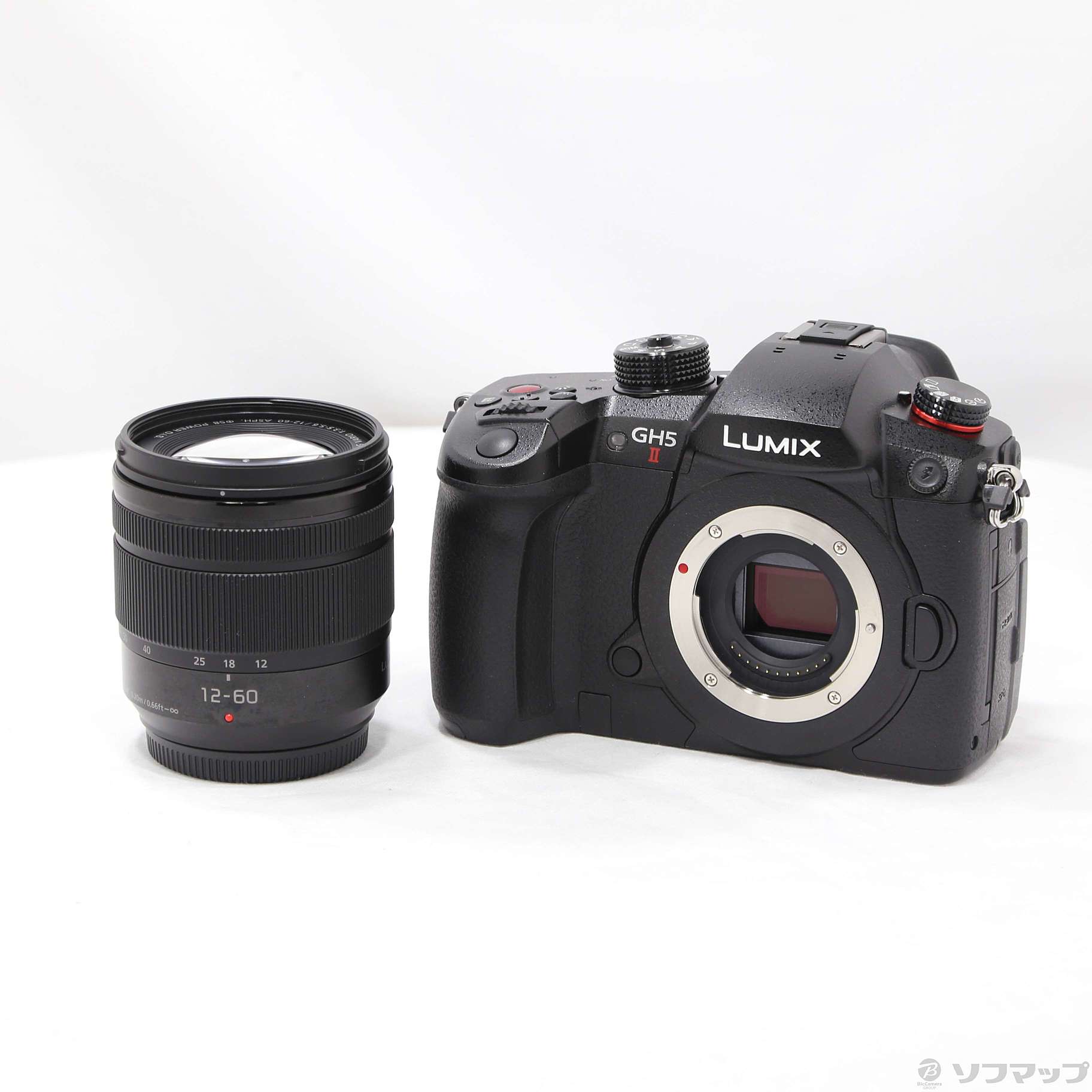 LUMIX GH5s ミラーレスカメラ 本体と付属品（Amazon.co.jp