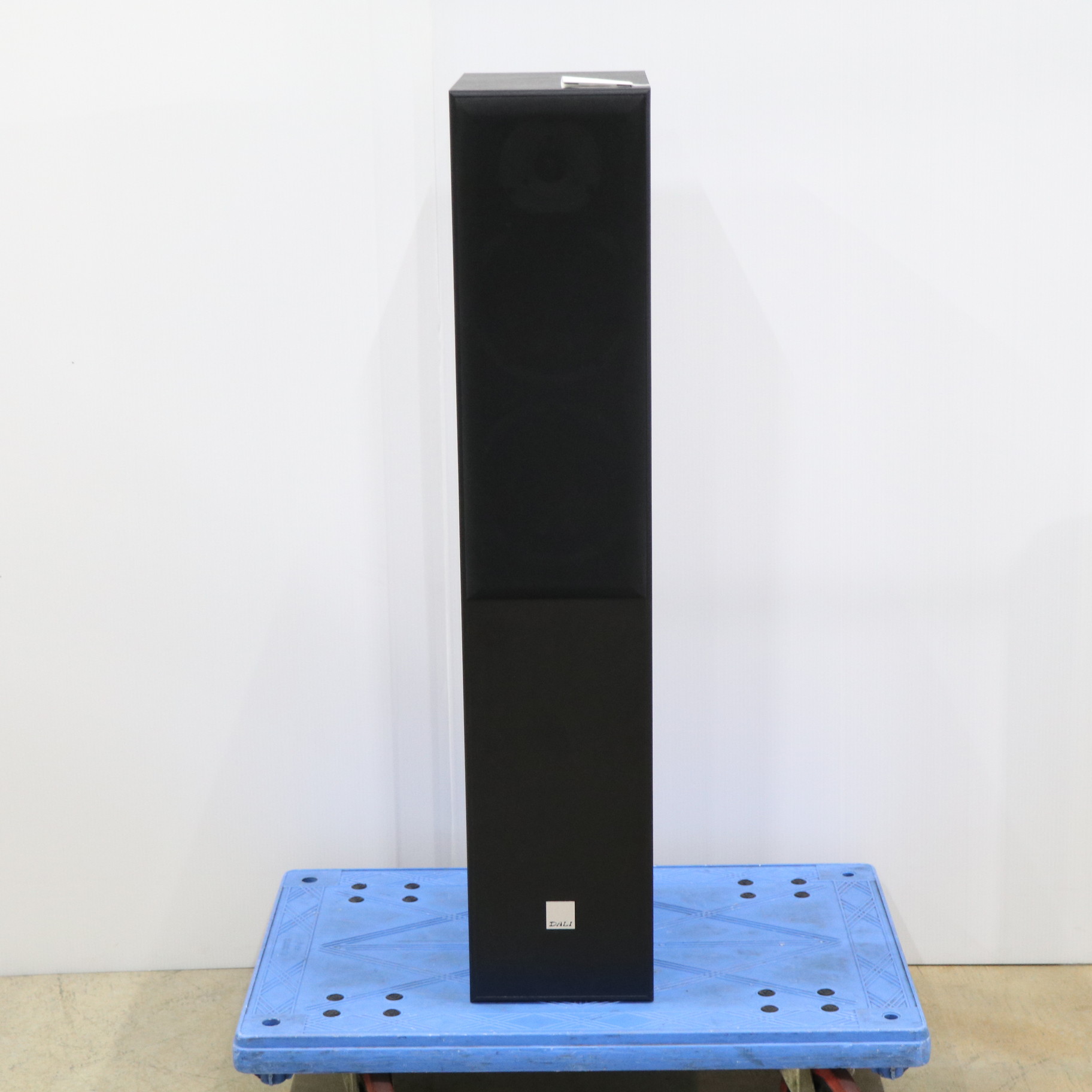 中古品〕 SPEKTOR 6 ブラックアッシュ 単品｜の通販はソフマップ[sofmap]