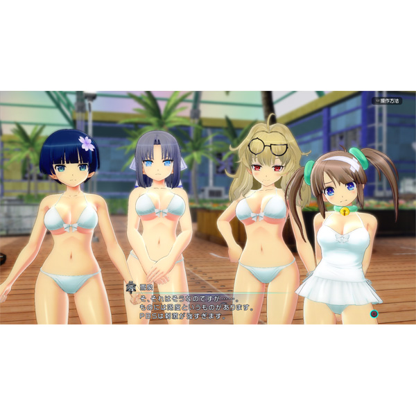 閃乱カグラ PEACH BEACH SPLASH SUNSHINE EDITION XXX 【PS4ゲーム 