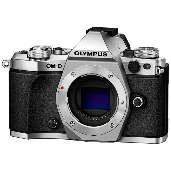 OLYMPUS OM-D E-M10 シルバー ボディ オマケ多数カメラ