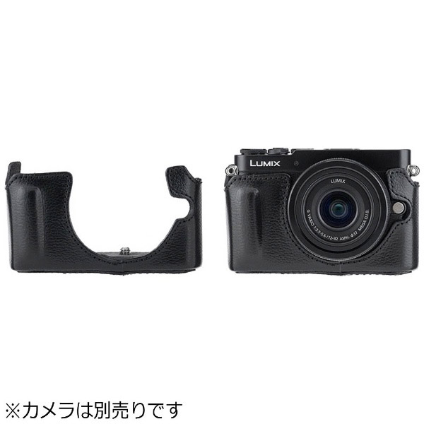 Panasonic LUMIX DMC-GM1 レンズ2本 ボディーケース - デジタルカメラ