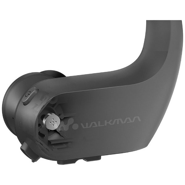 ウォークマン WALKMAN WSシリーズ2017年モデル NW-WS623 BM ブラック [4GB]｜の通販はソフマップ[sofmap]