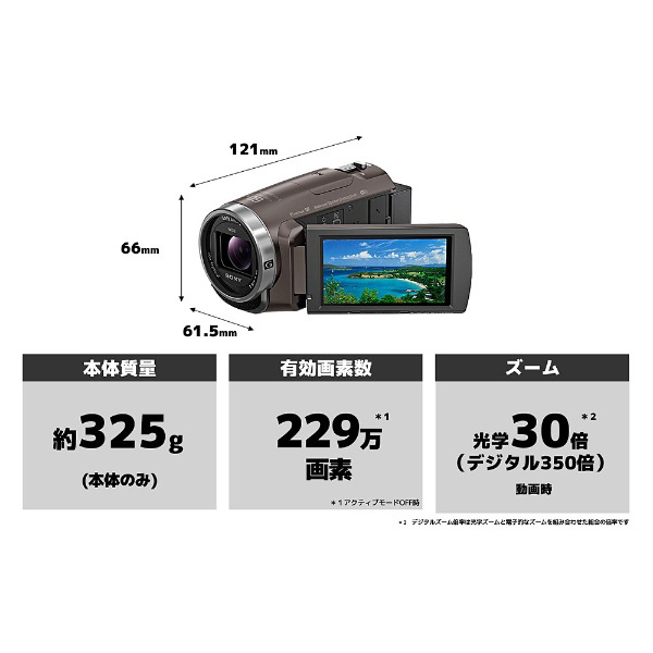 ソニー ビデオカメラ Handycam 光学30倍 内蔵メモリー64GB ブロンズブラウン HDR-PJ680 TI - 3