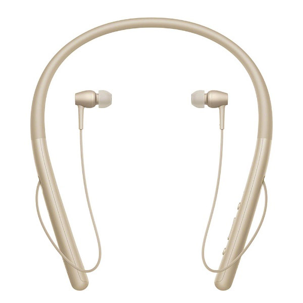 bluetooth イヤホン カナル型 h.ear in 2 Wireless ペールゴールド WI
