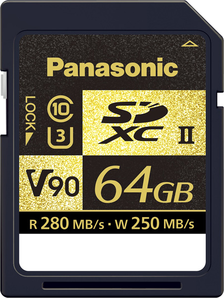 □パナソニック(Panasonic) RP-SDZA64GJK [64GB] - その他