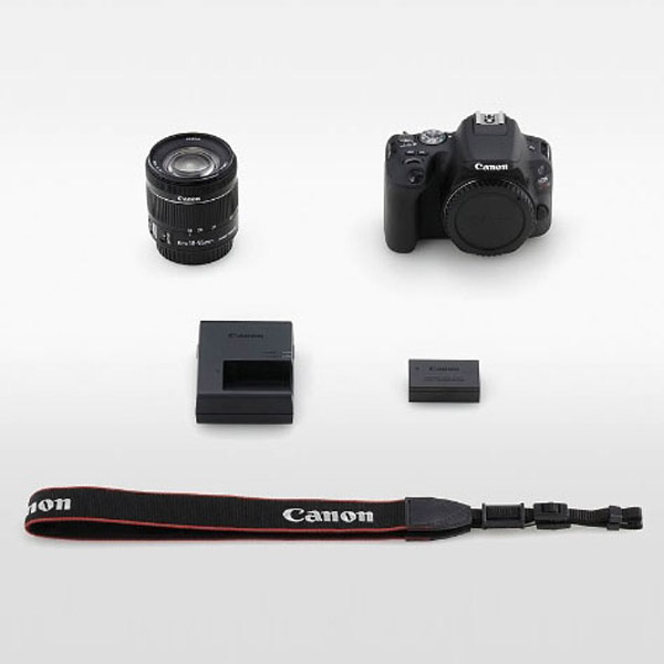 EOS Kiss X9 デジタル一眼レフカメラ EF-S18-55 IS STM レンズキット