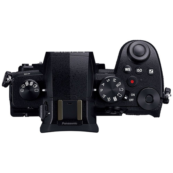 LUMIX G99 ボディ DC-G99-K [マイクロフォーサーズ] ミラーレスカメラ ...
