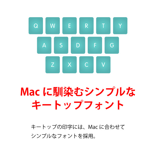 REALFORCE R2 SA for Mac / R2SA-JP3M-BK 有線キーボード 静音/APC機能