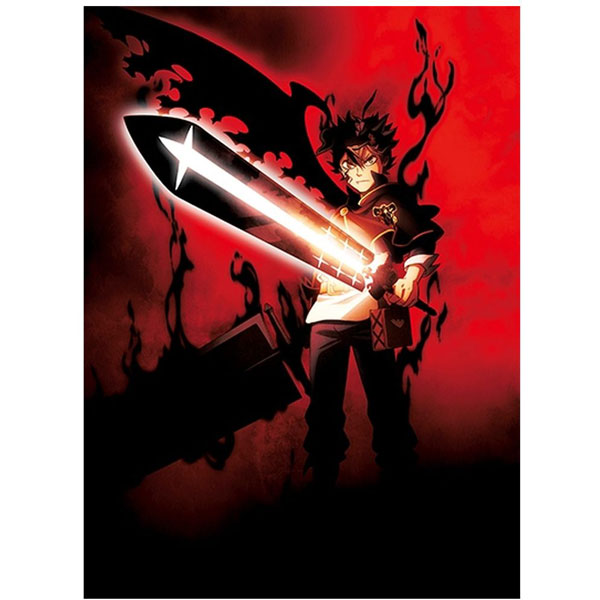 中古】ﾌﾞﾗｯｸｸﾛｰﾊﾞｰ Chapter 7 BD [2133057105010] - リコレ