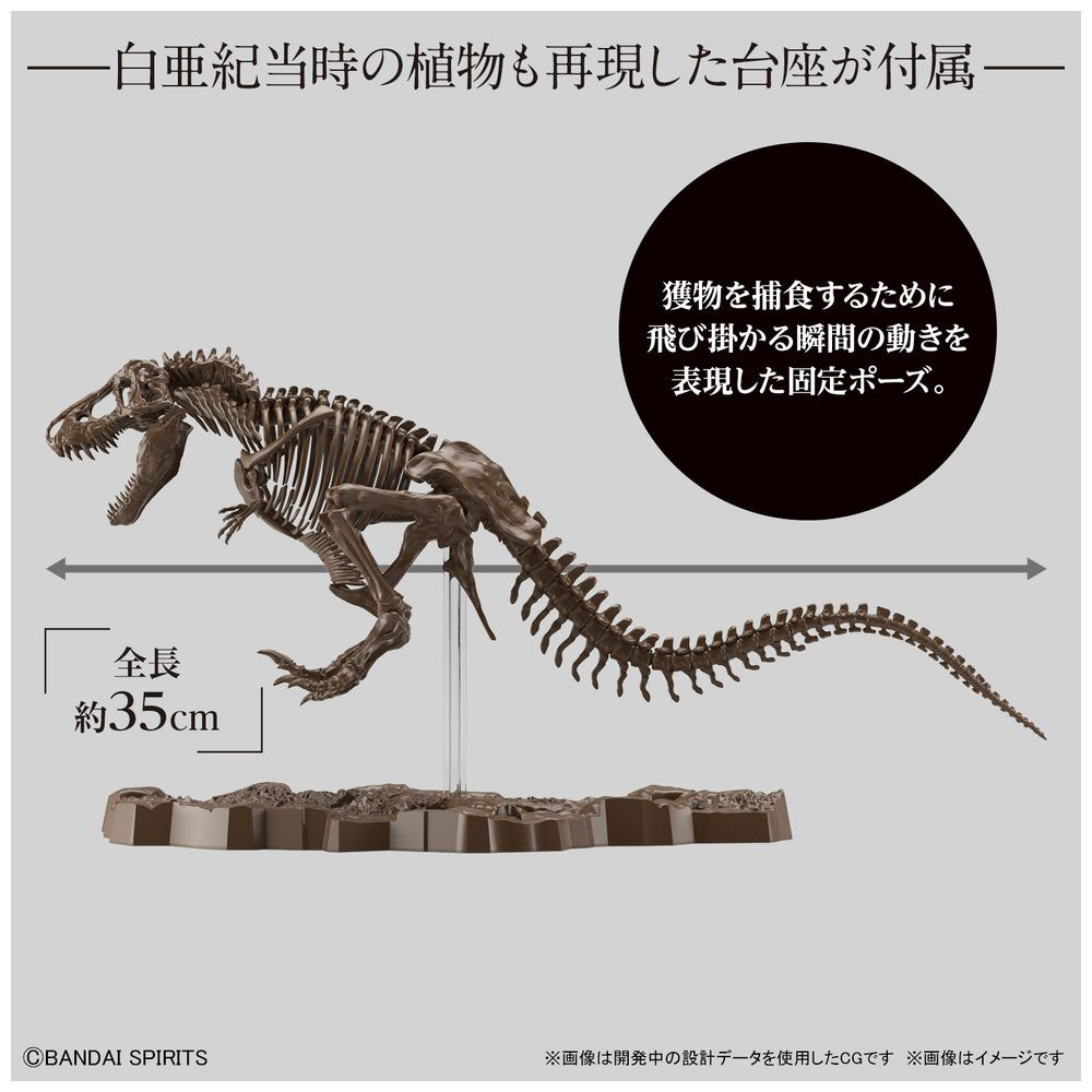 【店頭併売品】 1/32 Imaginary Skeleton ティラノサウルス_2