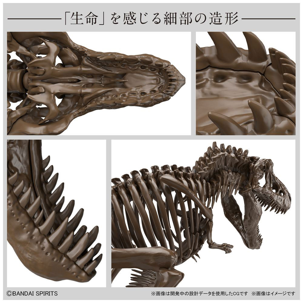 【店頭併売品】 1/32 Imaginary Skeleton ティラノサウルス_3