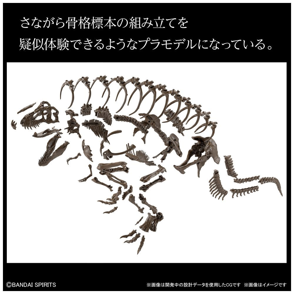【店頭併売品】 1/32 Imaginary Skeleton ティラノサウルス_4