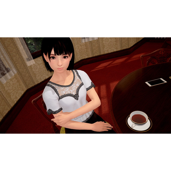 サマーレッスン：ひかり・アリソン・ちさと 3 in 1 基本ゲームパック 【PS4ゲームソフト(VR専用)】_2
