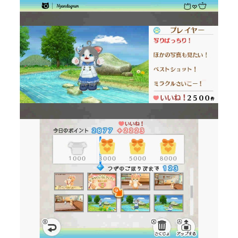 【在庫限り】 ネコ・トモ 【3DSゲームソフト】_12