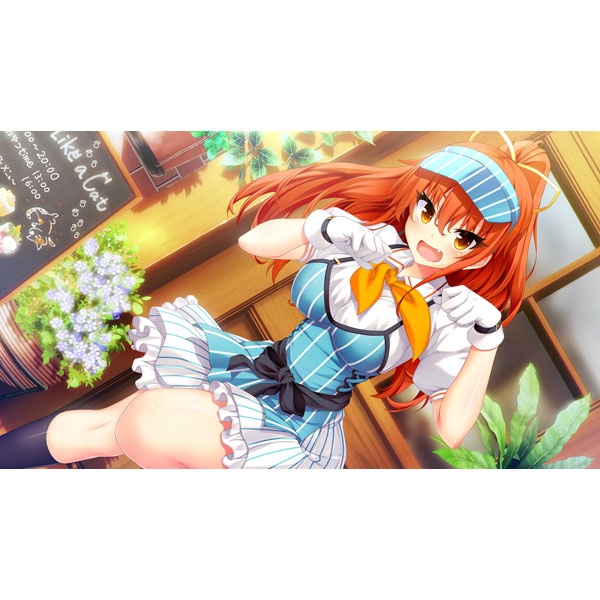 ノラと皇女と野良猫ハート 通常版 【PS Vitaゲームソフト】_7