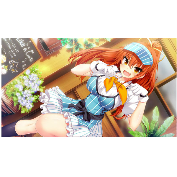 ノラと皇女と野良猫ハート HD 通常版 【PS4ゲームソフト】_7