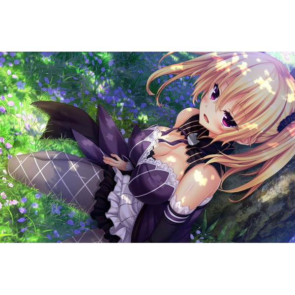 ノラと皇女と野良猫ハート HD 通常版 【Switchゲームソフト】_3