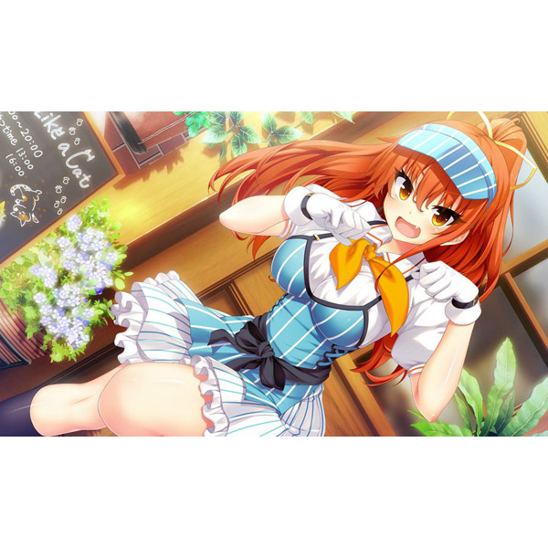 ノラと皇女と野良猫ハート HD 通常版 【Switchゲームソフト】 【sof001】_7