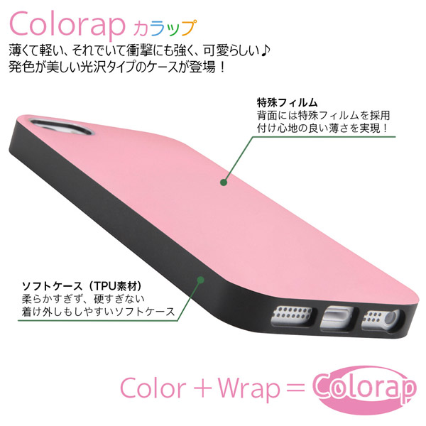 iPhone SE/5s/5 TPUソフトケース Colorap/ブラック IN-P17CP1/B