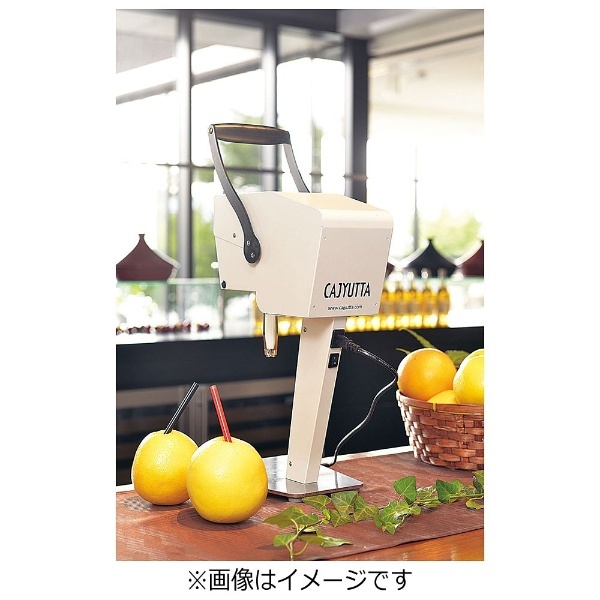 カジュッタ ジューサー カジュッタ ジューサー
