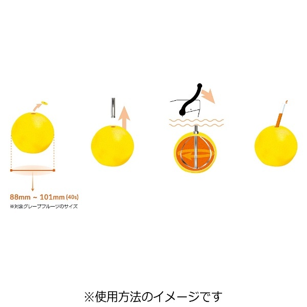 果汁搾り機 カジュッタ CJT3－04 ホワイト ＜FKZ0101＞