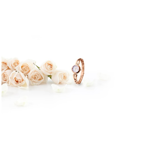 ソーラー時計］イオ（iO） 「10周年記念限定モデル」 RN-WG0005S【数量  